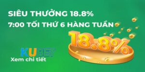 Nhà cái KUBET cực uy tín và hấp dẫn hiện nay